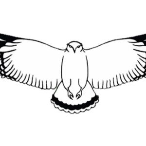 Meet your Posher, Gavin